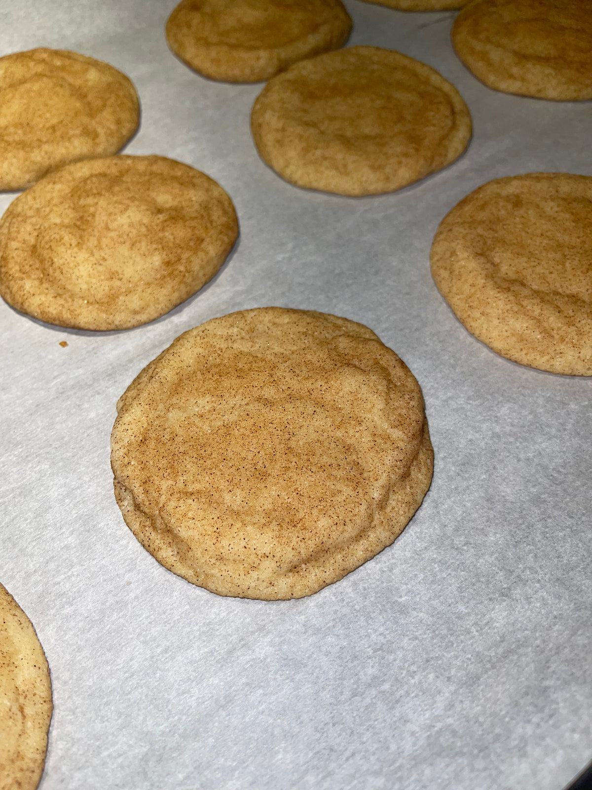 Snickerdoodle