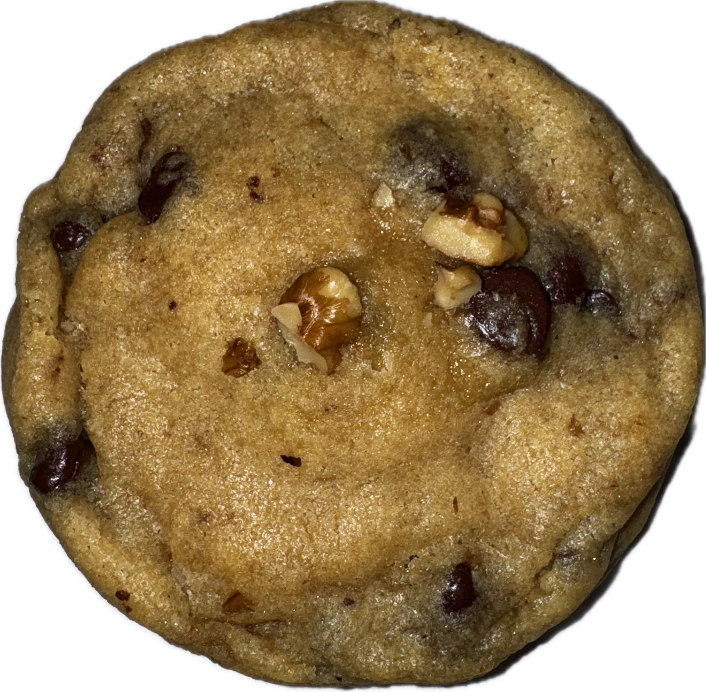 Walnut Chocolate Chip